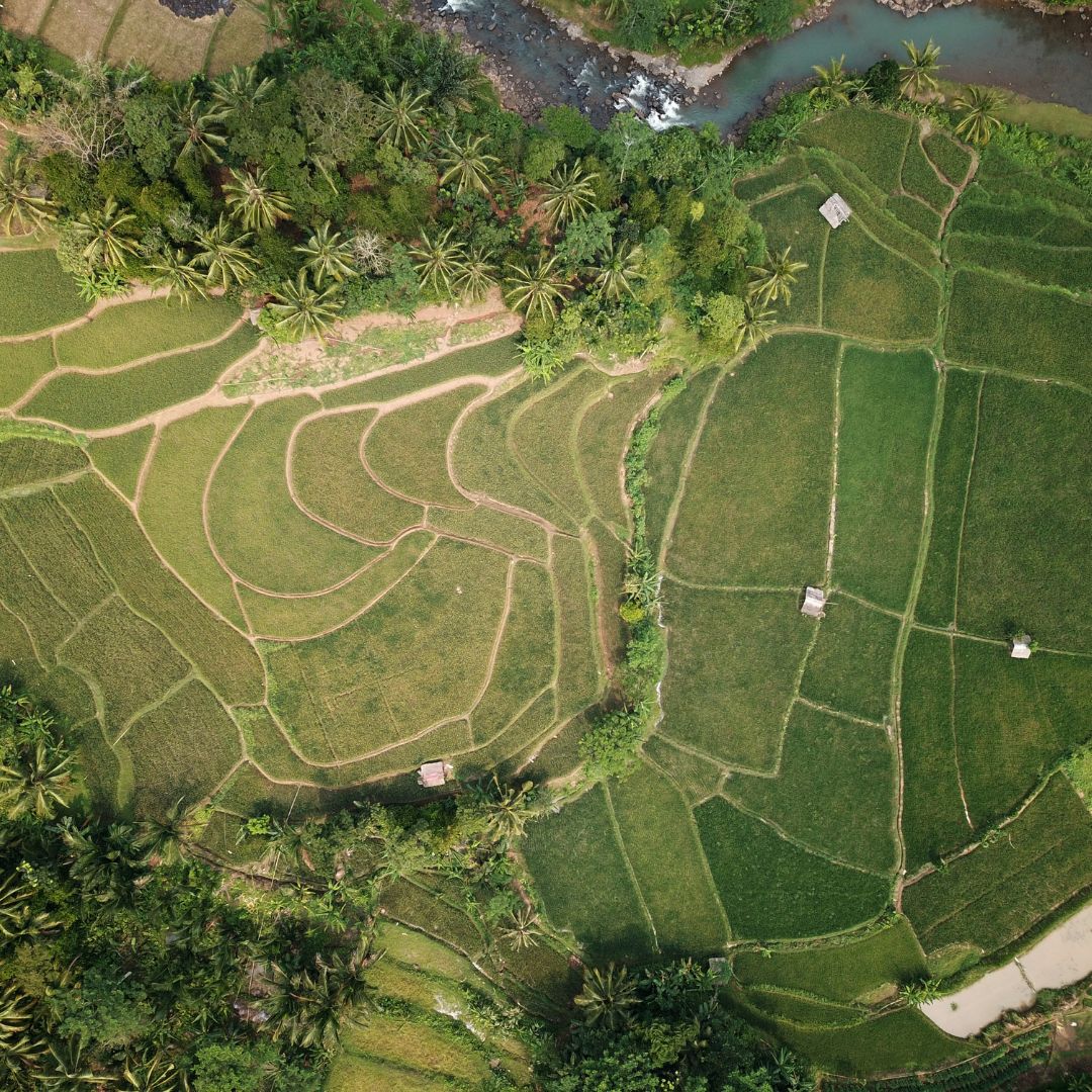 Understanding Land Due Diligence in Kenya: What Every Property Buyer Must Know